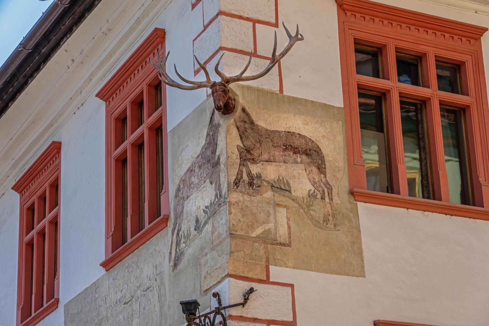Casa Cu Cerb Hotel Sighişoara Buitenkant foto