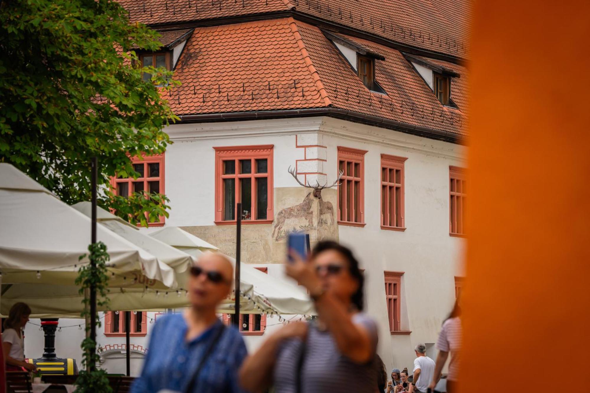 Casa Cu Cerb Hotel Sighişoara Buitenkant foto